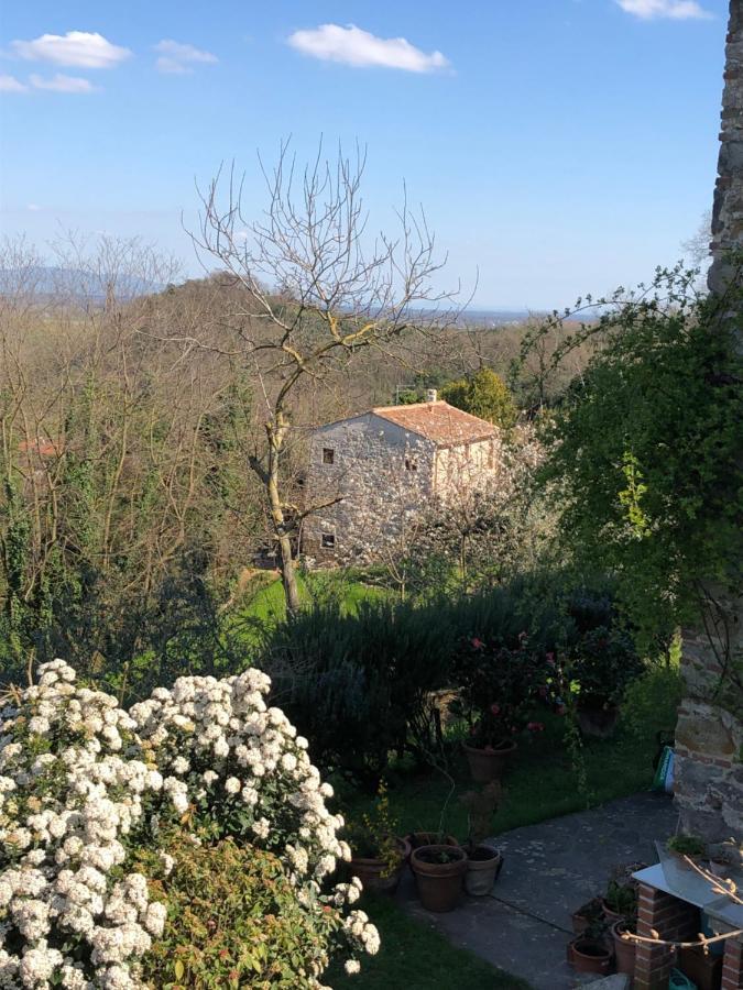 Dolce Vita In Tuscany B&B Capannori Exterior photo